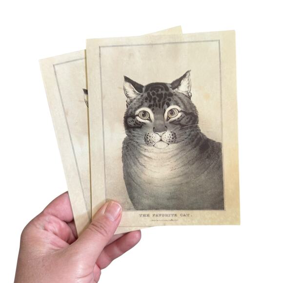 Metropolitan Museum of Art CATS Art Print Cards Blank Envelopes 11/24 LEFT 2003 - Picture 9 of 14